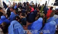 Migrant crisis: Over 350,000 Afghan refugees return home