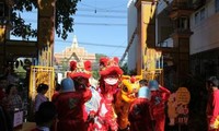 国外在留ベトナム人、2017年のテトを祝う