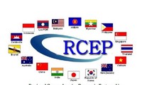 RCEPの発効、有力な分野の価値を発揮