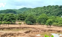   湿地林の保護に取り組むドンルイ村