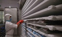 EUにメコンデルタでのスマート冷蔵倉庫設置の支援を提案
