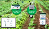 Mahasiswa Menggunakan Teknologi untuk Mendukung Petani Melakukan Pertanian Hijau