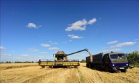 国連、ウクライナ穀物輸出停滞に懸念　ロシアが運搬船制限