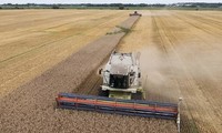 ＥＵ、東欧加盟5カ国によるウクライナ産穀物輸入制限の延長承認