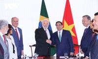 ベトナムとブラジル共同声明を発表