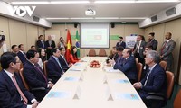 チン首相、ブラジル・ベトナム友好議員グループ会長と会見