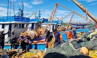 ベトナム 2050年までに近代的で持続可能な漁業開発 目指す