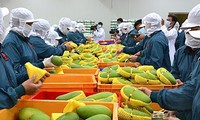 ベトナム、世界の農産物輸出国トップ15にランクイン