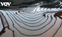 「棚田に水が張られる季節」にあるムーカンチャイ県