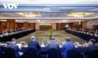 チン首相 韓国の大手企業の指導者と会見