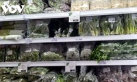 ベトナムの野菜・果物輸出、今年70億ドル突破へ