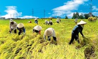 Meningkatkan nilai produk pertanian Vietnam.