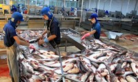 Eksport ikan patin di provinsi-provinsi di daerah dataran rendah sungai Mekong meningkat.