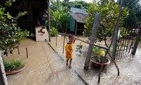 AusAID offers 500,000 AUD to help Mekong Delta flood victims