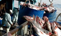 世界自然基金会将越南查鱼从“消费者水产品指南”黑名单中除名