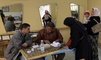 埃及公布人民议会选举第二阶段结果