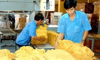 今年，越南出口预计同比增长13%