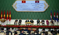 越南和柬埔寨监察部门加强合作