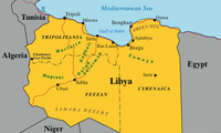 利比亚举行后卡扎菲时期的首次地方选举