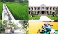 越共中央书记处讨论新农村建设计划