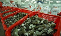 美国对越南和多国产冷冻虾征收反补贴税