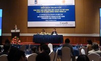 越南举行关于“消除对妇女一切形式歧视公约”落实进展情况座谈会