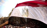 世界40个国家的代表将监督埃及总统选举
