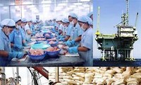 在俄罗斯推介越南农产品