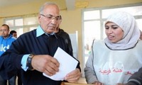 五千万名埃及选民参加总统选举