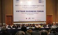 2012年越南企业论坛开幕