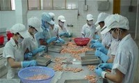 虾类仍是越南拳头出口水产品