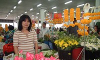旅居泰国越南人的爱国及团结友好传统研讨会在胡志明市举行