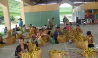 越南国会对少数民族同胞的宅基地和生产用地分配工作进行监督
