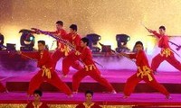 第四次国际越武道节框架内的狂欢节热闹举行 