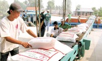 越南致力打造大米出口品牌