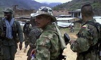哥伦比亚政府与哥革命武装力量举行和谈