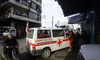 叙利亚支持国际红十字会以中立、独立立场开展工作