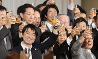 日本成立新政党