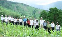 越南是成功开展减少温室气体排放计划的国家之一