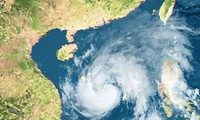 越南全国各地开展台风“山神”救灾工作