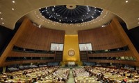 联合国大会就接纳巴勒斯坦为观察员国议案进行投票