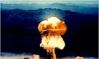 《全面禁止核试验条约》组织将越南视为优先合作伙伴