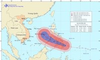 越南积极应对台风“宝霞”
