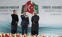 阿富汗、巴基斯坦、土耳其开设热线电话