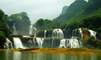 越南国家旅游年活动