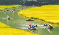 2012年的越南旅游