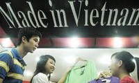 胡志明市“越南人优先用越南货”运动实施三年总结会议