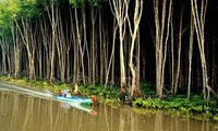 越南响应2013年世界湿地日