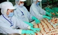 美国初步裁决从越南进口的虾产品不存在倾销