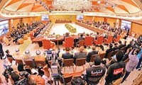 越南出席亚洲合作对话第十一次外长会议